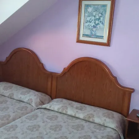 Hospedaje Campino Guest house *